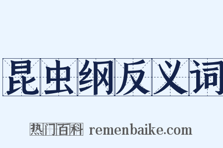 昆虫纲反义词是什么意思的图片